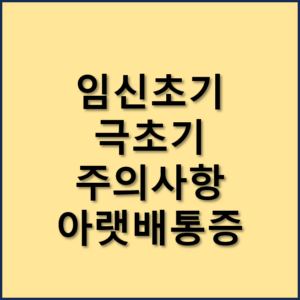 임신초기 극초기 주의사항 및 아랫배 통증