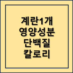 계란1개 영양성분과 단백질, 칼로리는?