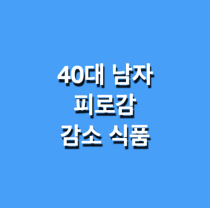 40대남자 피로감 감소 건강식품 추천