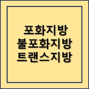 포화지방 불포화지방 트랜스지방에 대한 모든것