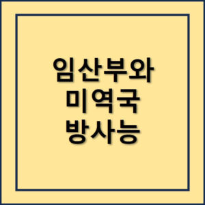 임산부와미역국