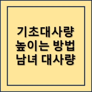 기초대사량높이는방법