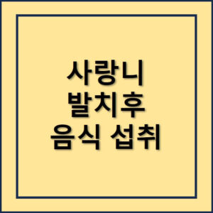 사랑니발치후음식