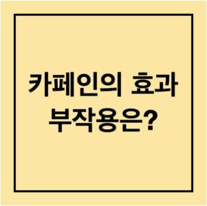 카페인의 효과와 부작용